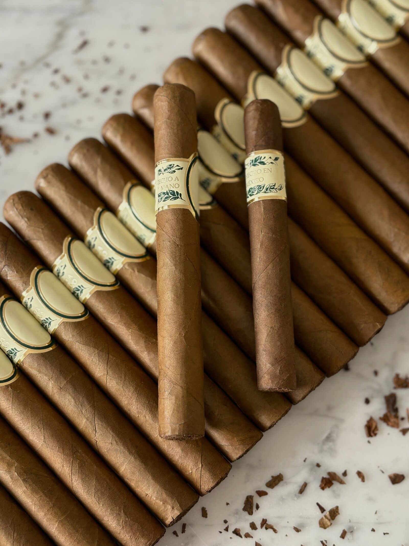 Robusto, imagen 2
